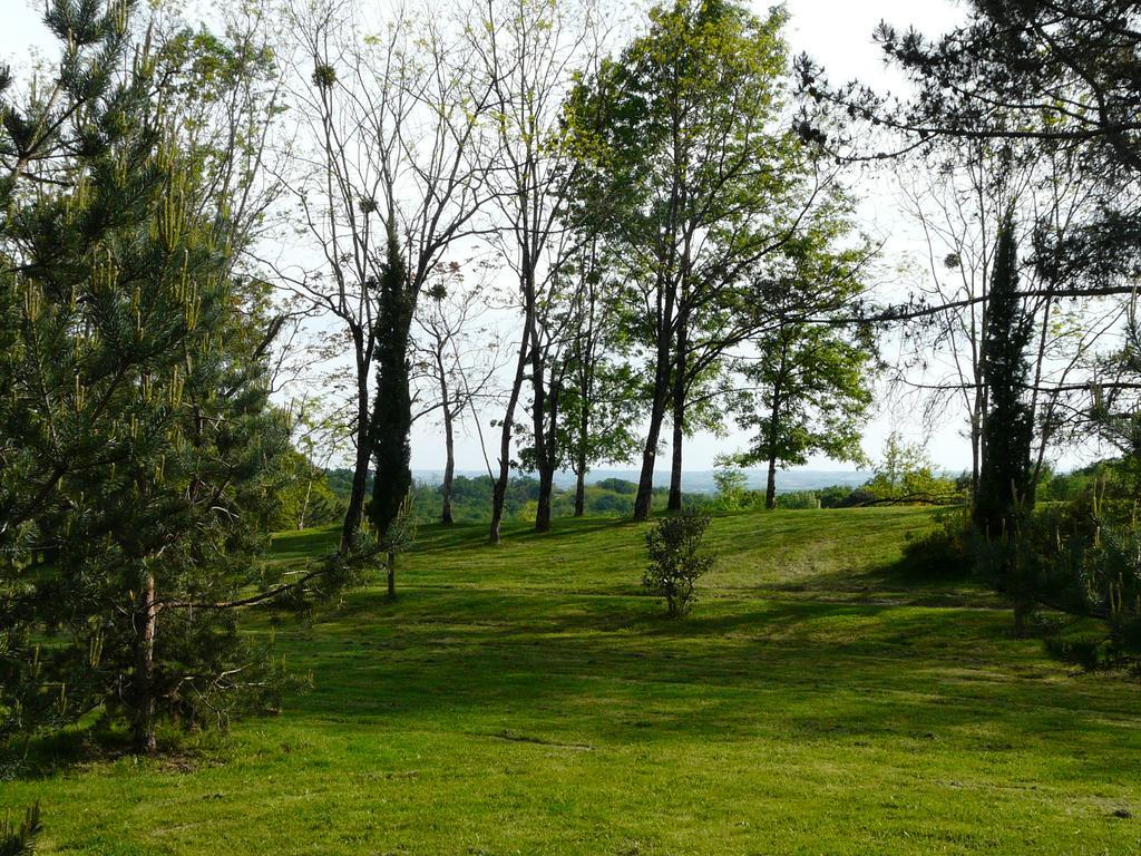 Chateau De La Comtesse Saint-Martin-Petit エクステリア 写真