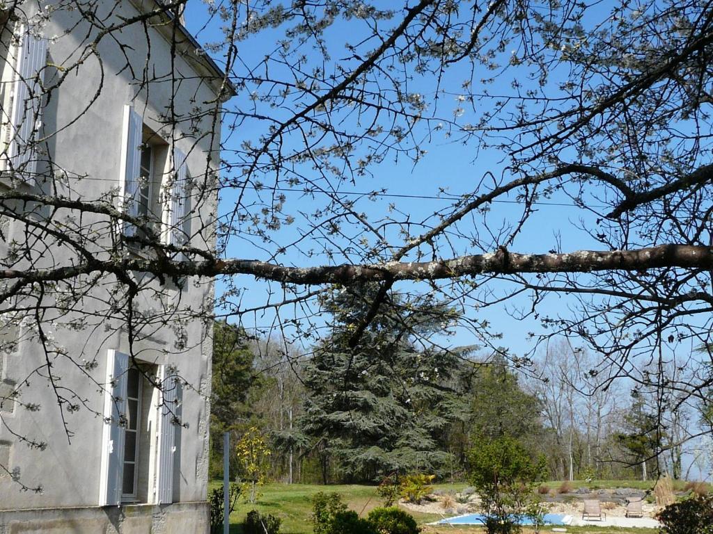 Chateau De La Comtesse Saint-Martin-Petit エクステリア 写真